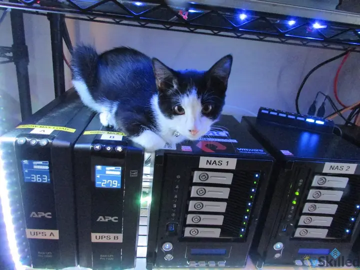 Cat standing on the NAS units beside two UPS batteries