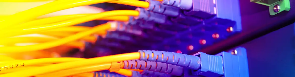 Yellow and purple network cables connected to a switch