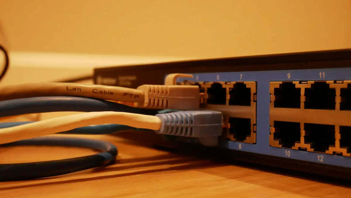 Ethernet cables plugged into a network switch in warm light