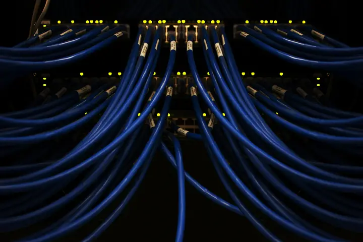 Blue network cables fanning out from connected ports
