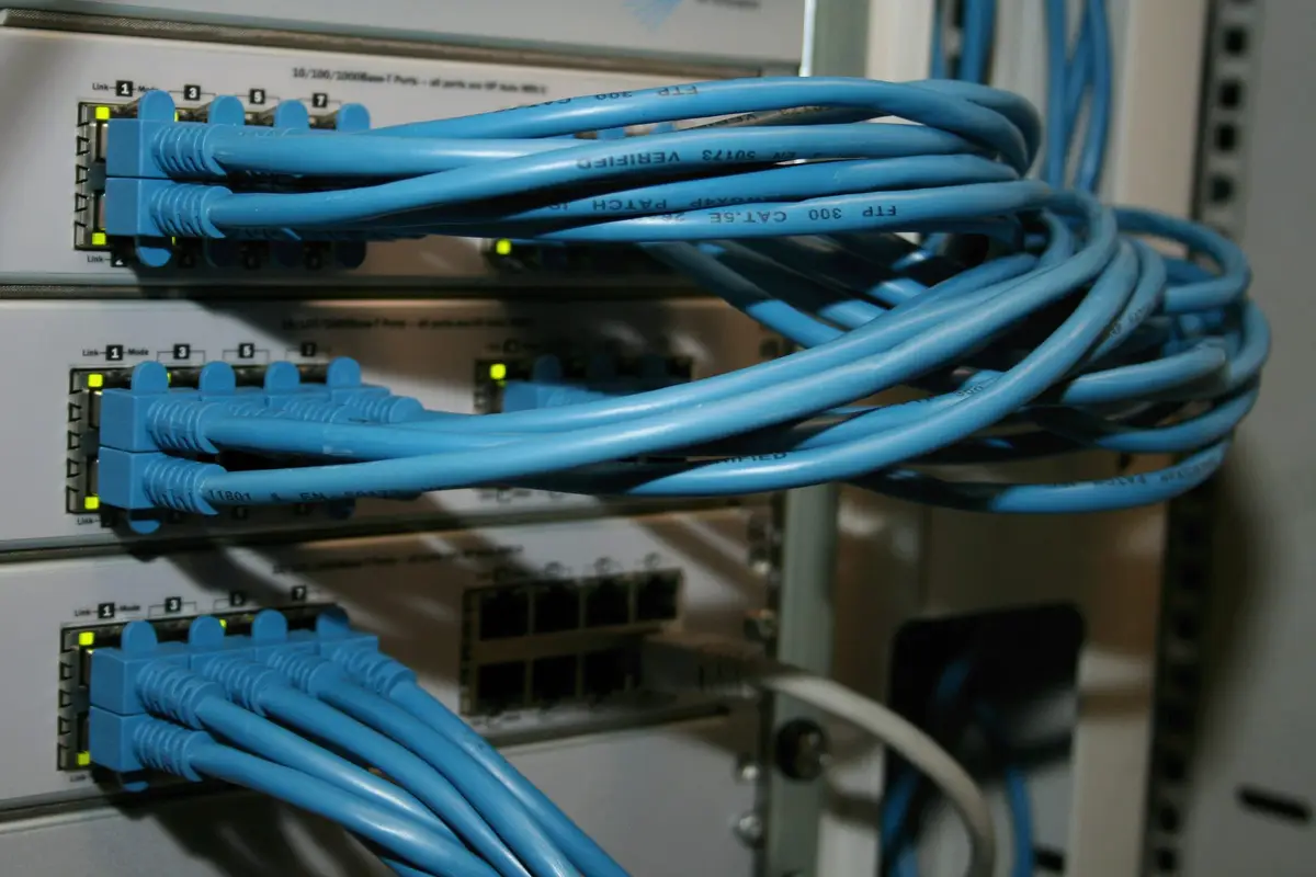 Bundles of blue patch cables connected to rack equipment