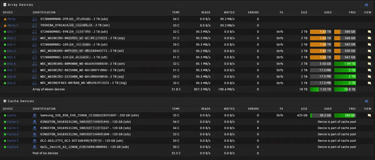 Zion Unraid interface listing array disks, dual parity and SSD cache devices